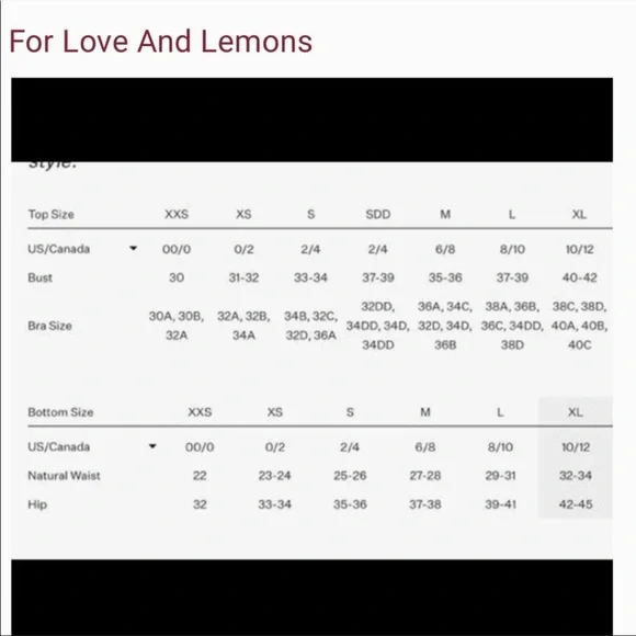 FOR LOVE & LEMONS Rosebud Thong - Picture 12 of 12